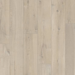 san-go-quickstep-impressive-im1854
